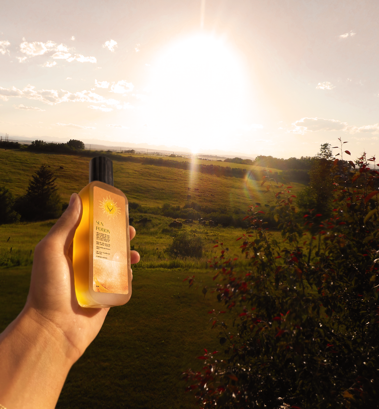SUN POTION