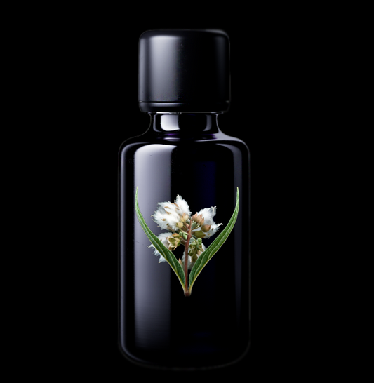 LELESHWA ESSENTIAL OIL