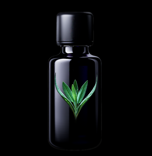 SAGE ESSENTIAL OIL