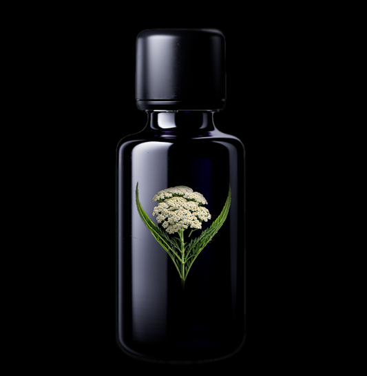 YARROW ESSENTIAL OIL